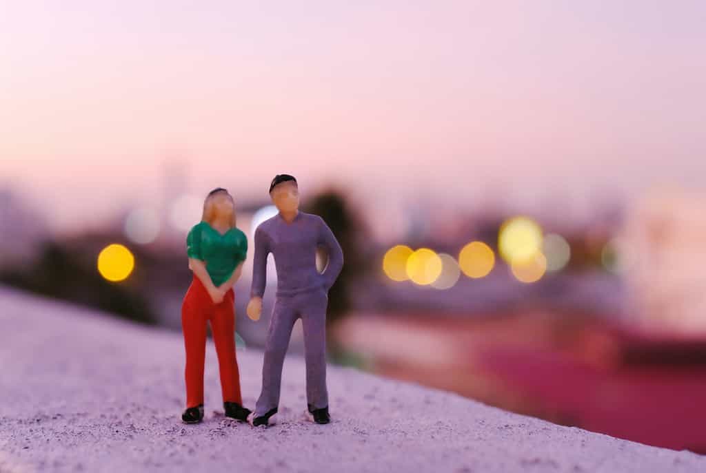 miniature couple looking at the sunset